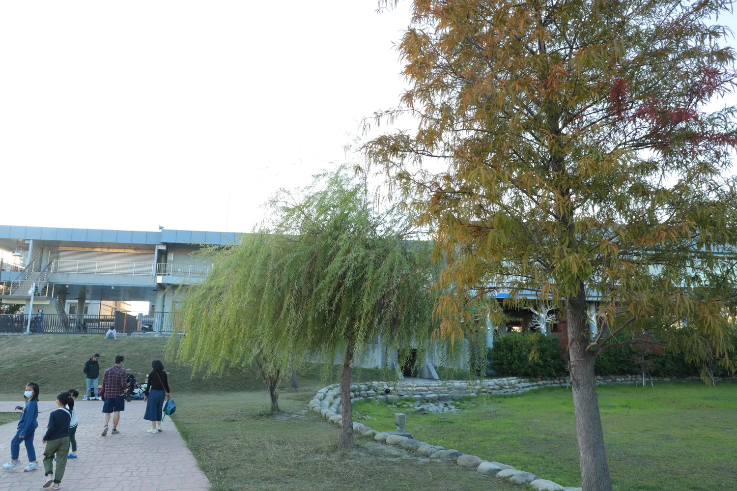 步道旁的樹影與開闊視線，呈現城市公園的慢生活步調。